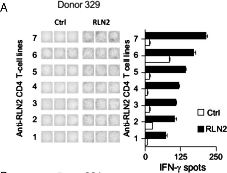 Generation of RLN2-specific CD4 T cells.jpg